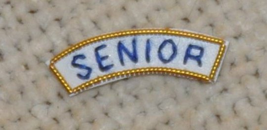 Provincial Apron Badge Appendage - UNDRESS - "SENIOR" - Click Image to Close